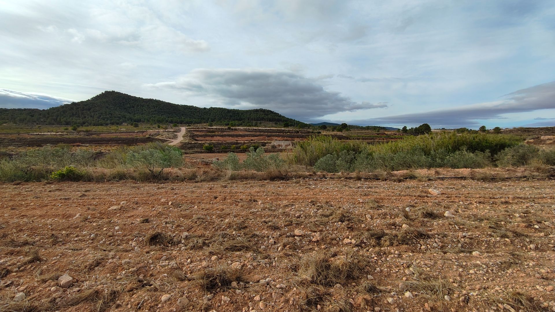 Building plot with irrigation water of 22,293 m² in Monóvar (Alicante)Large building plot located in - Image 1
