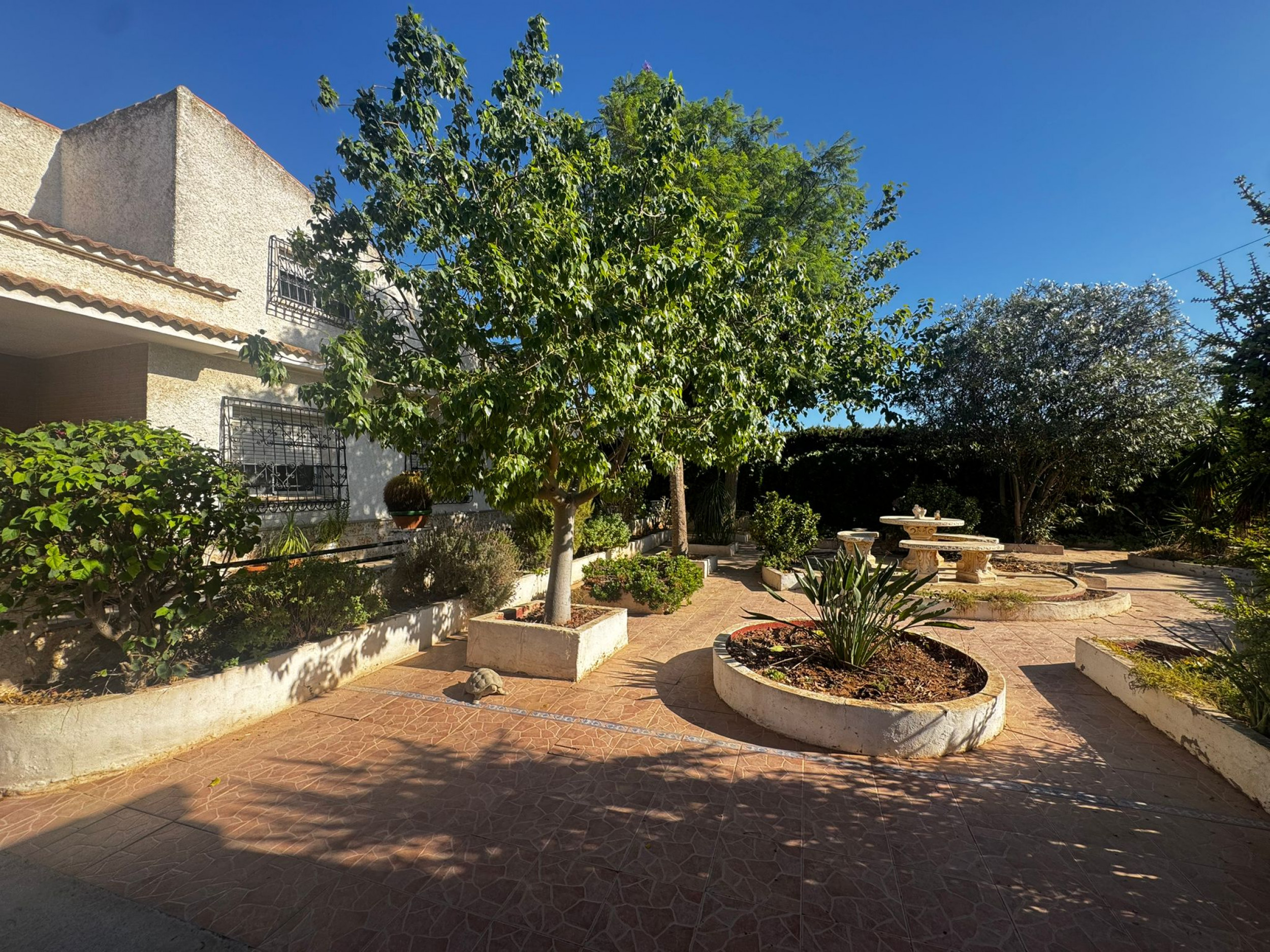 Finca Villa for Sale in Roche, Cartagena (Murcia) Opportunity to acquire a traditional finca-style v - Image 1