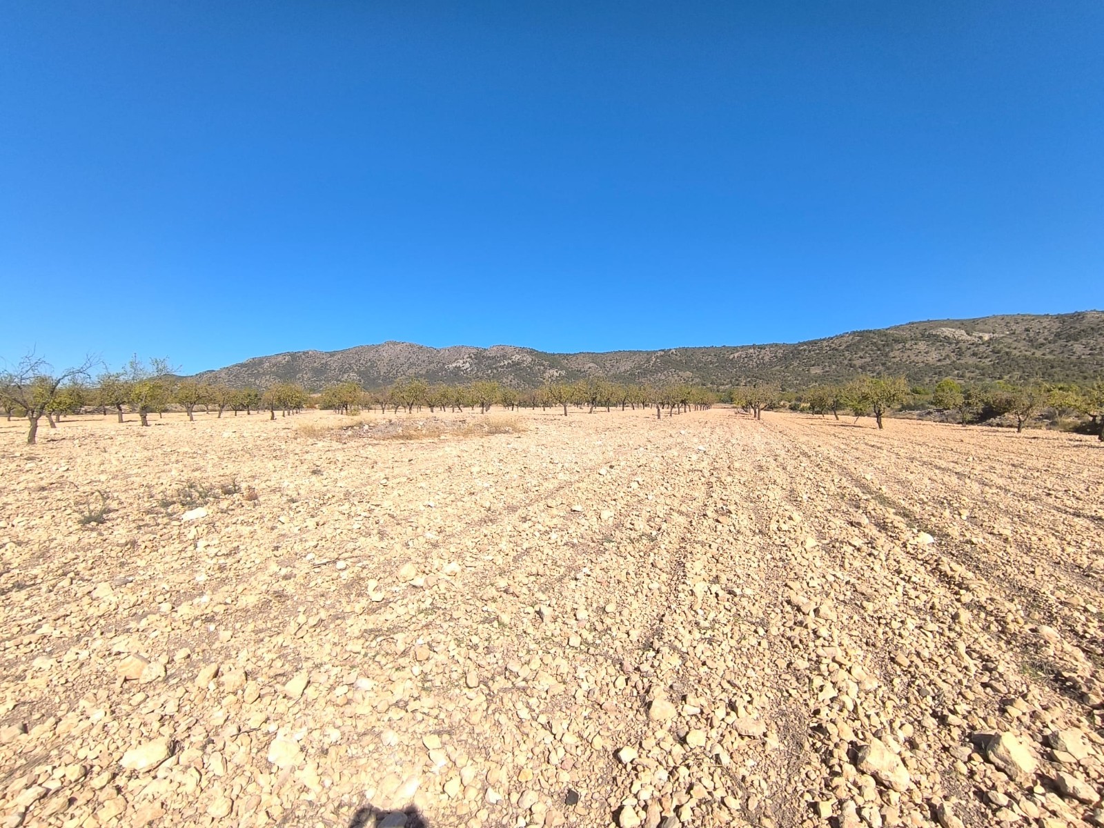 Would you like to create your own little kingdom and build a house of your dreams on a large, but af - Image 1