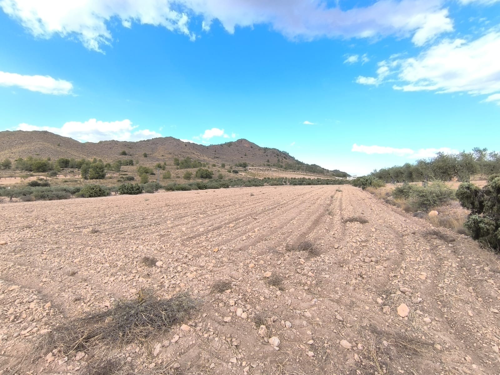 Looking for agricultural investment or a cheap piece of land - Image 1