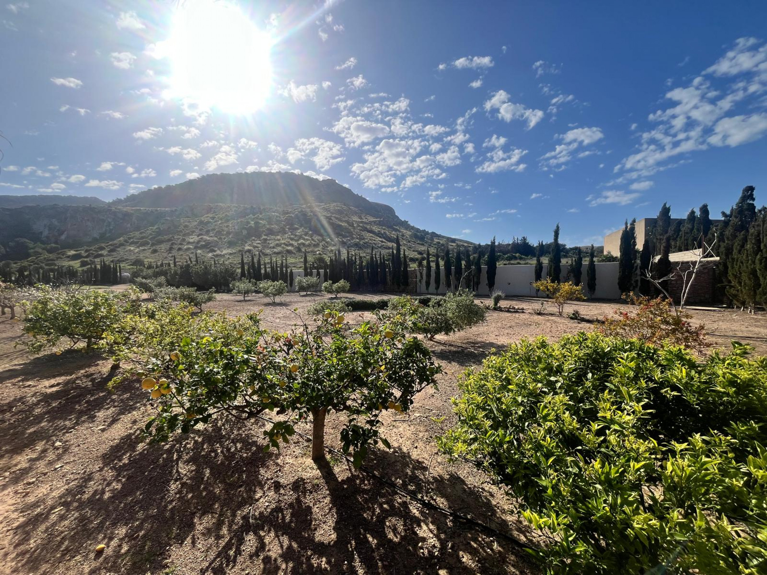 Modern Villa for Sale near Calblanque, Cartagena – 14,877 m² Plot Discover this stunning modern vill