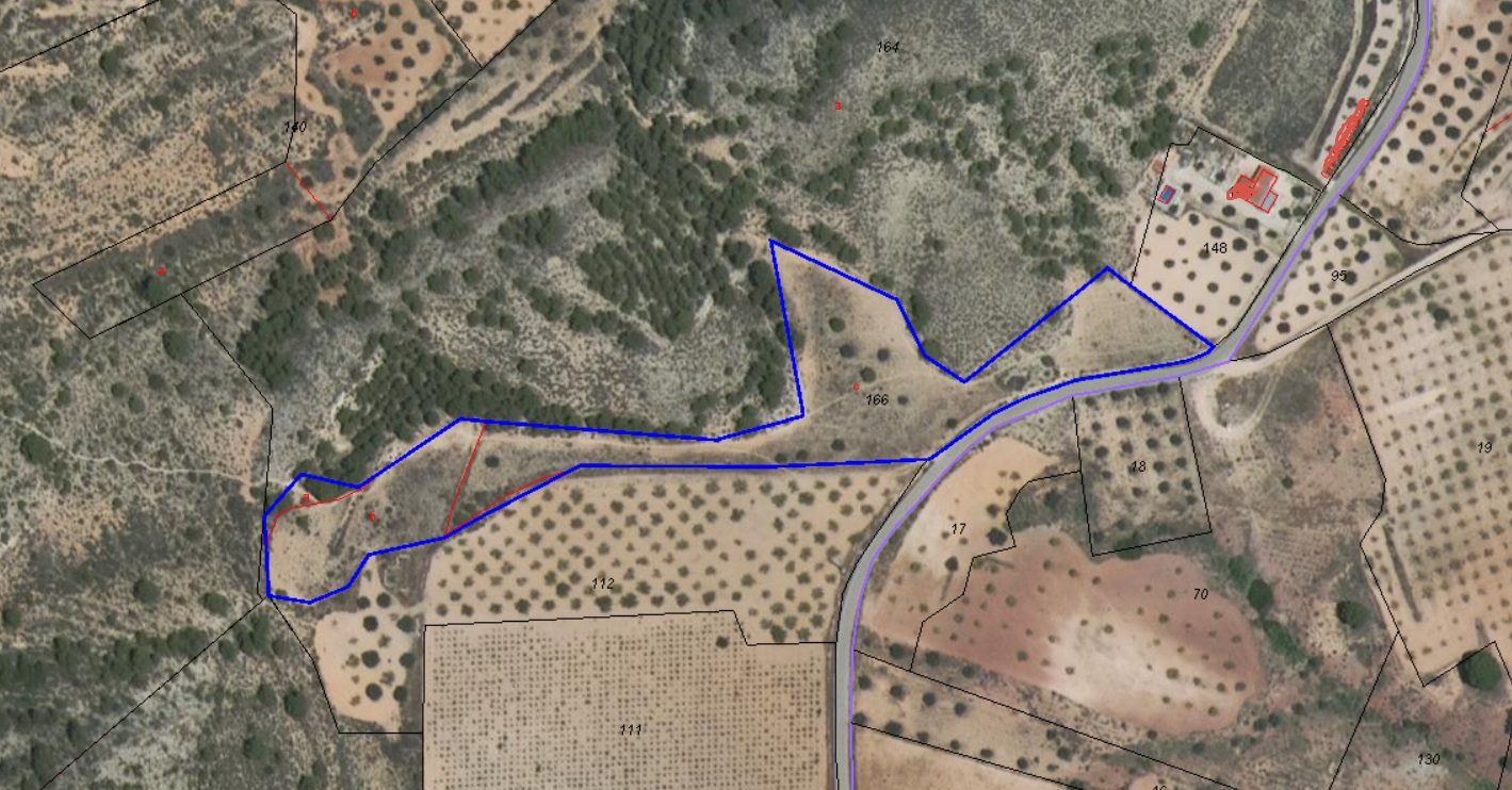 Plot of 9700 m2 for sale in Yecla - Image 1