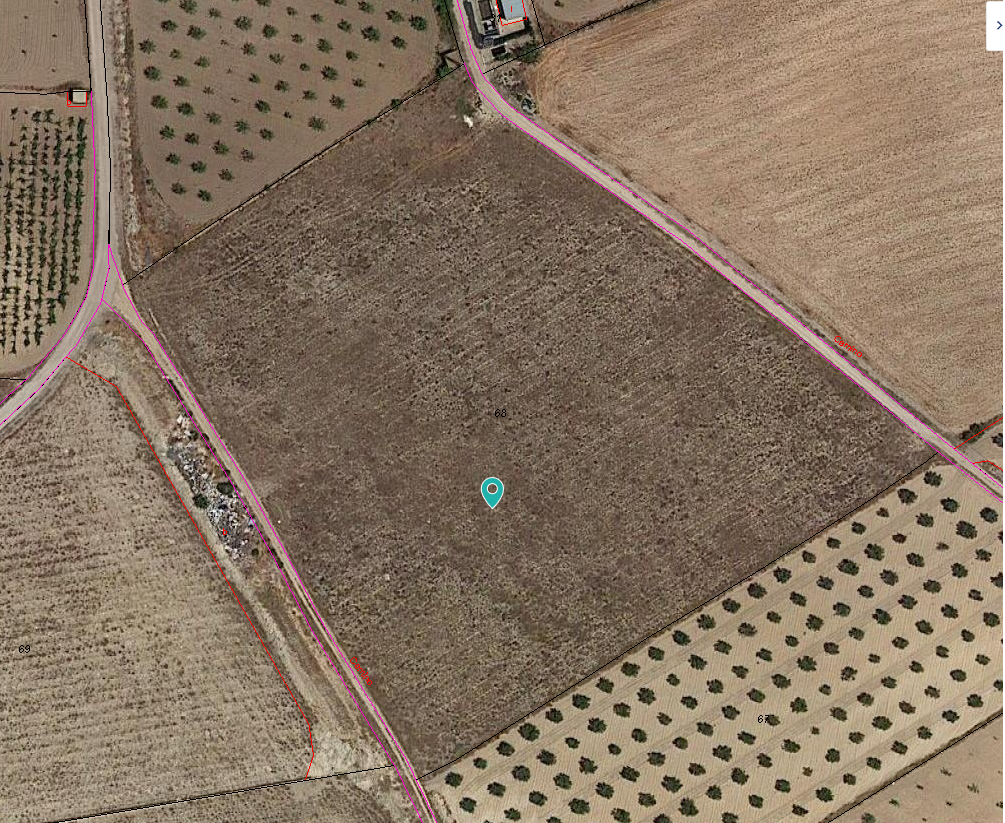 This legal building plot is located just outside the village of canada de trigo - Image 1