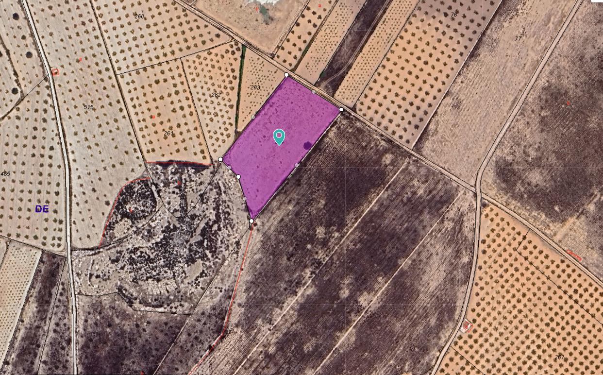 This 6,000 m² plot of land is located in the quiet rural area of Cañada de la Leña, within the munic - Image 1