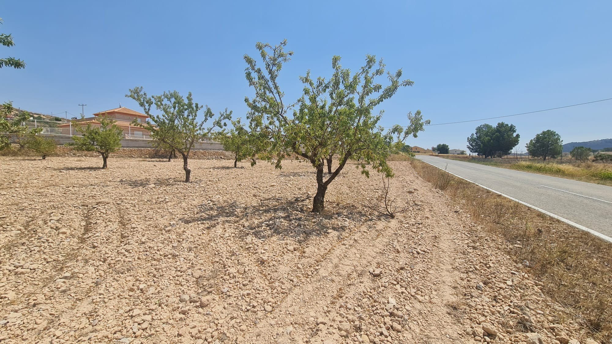 A rare opportunity to purchase a 7,340 m² rustic buildable plot in Jumilla - Image 1