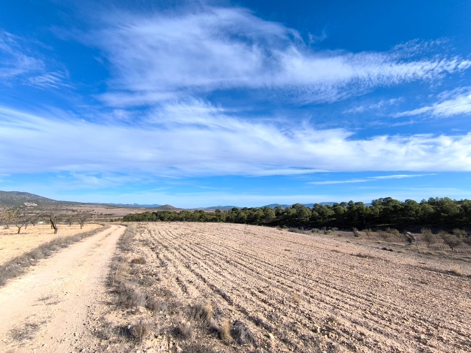 Explore the boundless possibilities of this vast plot of land nestled in the picturesque village of - Image 1