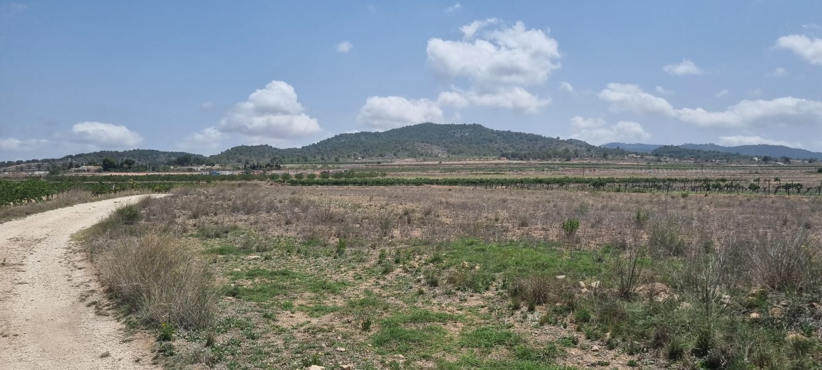 Lovely plot located approximately 5 minutes from the town of Pinoso offering beautiful views over th - Image 1