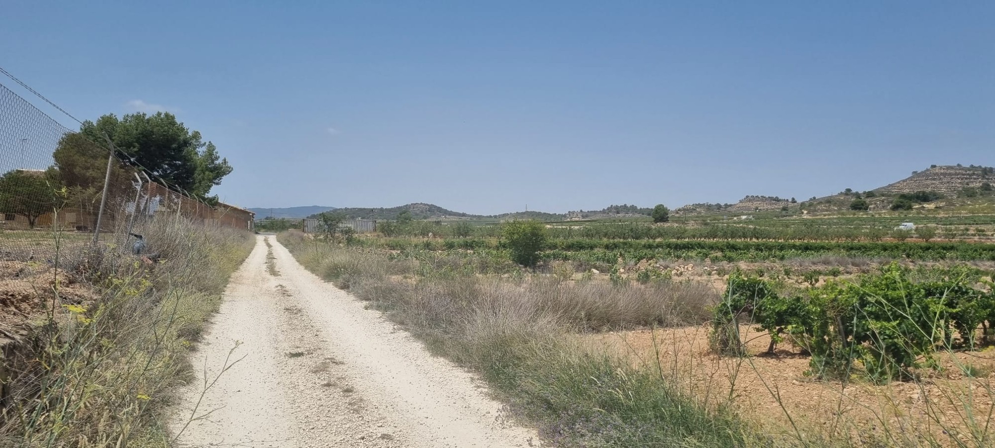 Lovely plot located approximately 5 minutes from the town of Pinoso offering beautiful views over th - Image 1