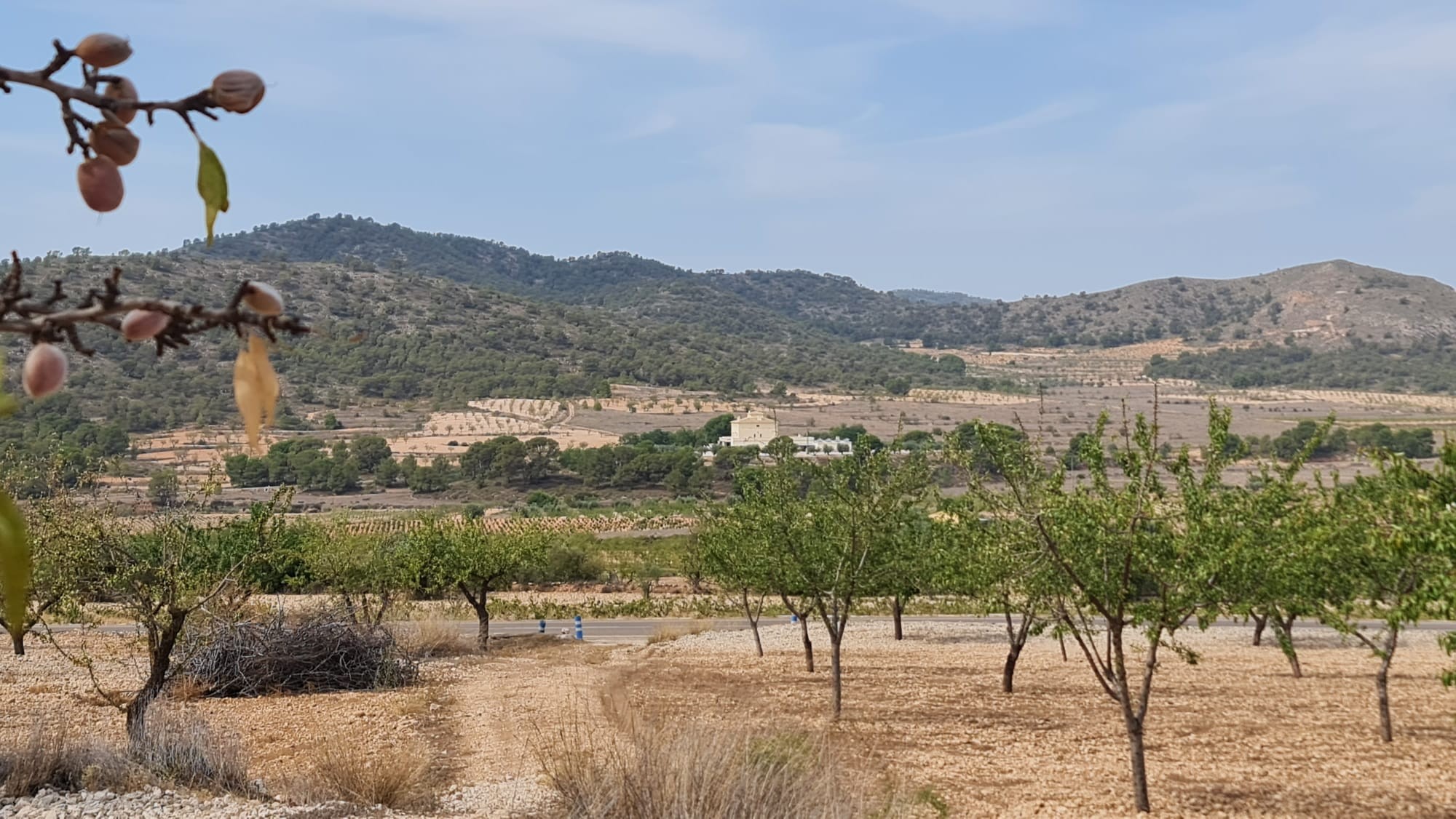 This 7,558m² plot offers a peaceful setting with beautiful views of Algueña and the surrounding moun - Image 1