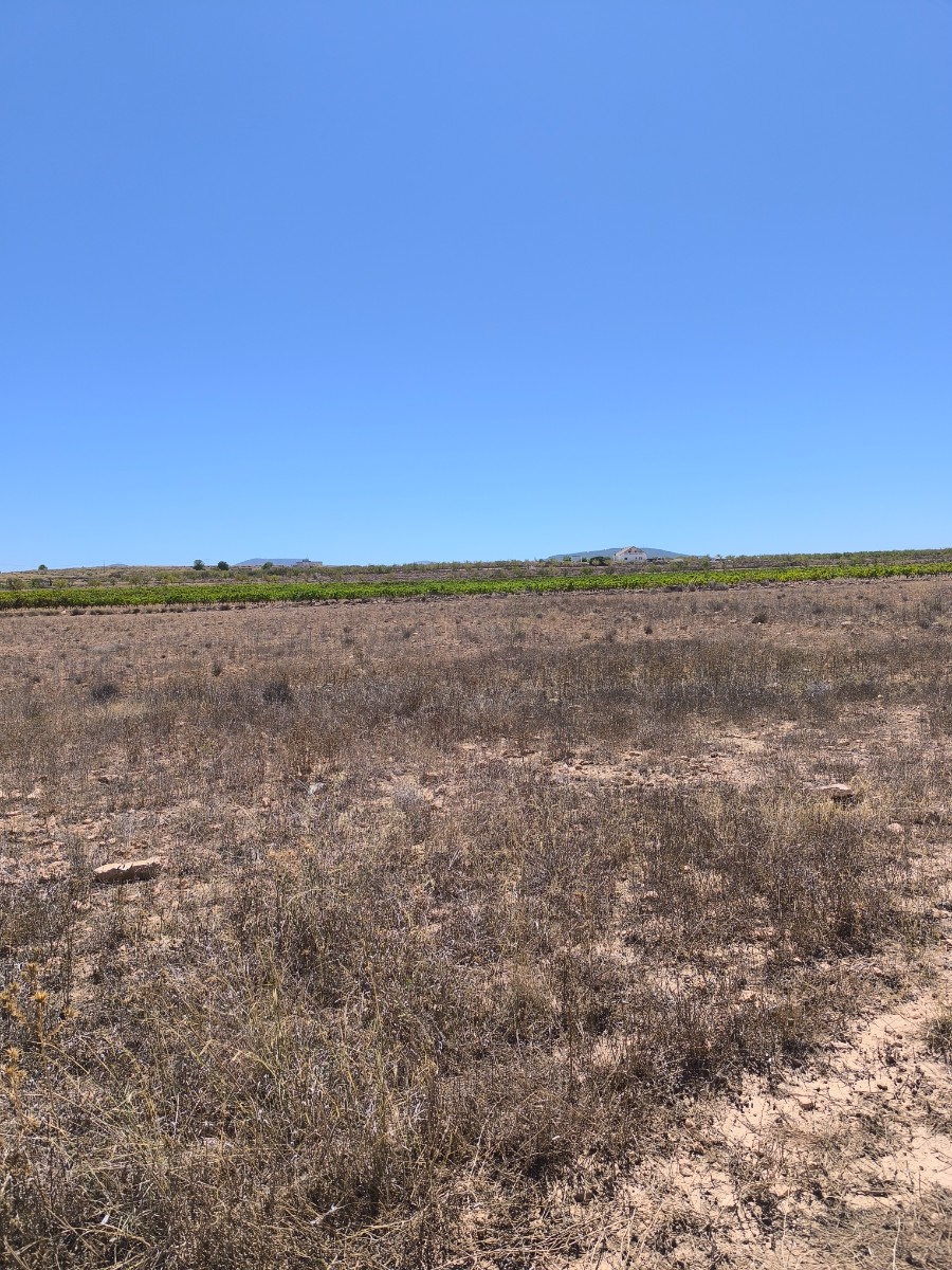 Presenting a fantastic plot of land spanning 30,552 square meters, offering a great opportunity for - Image 1