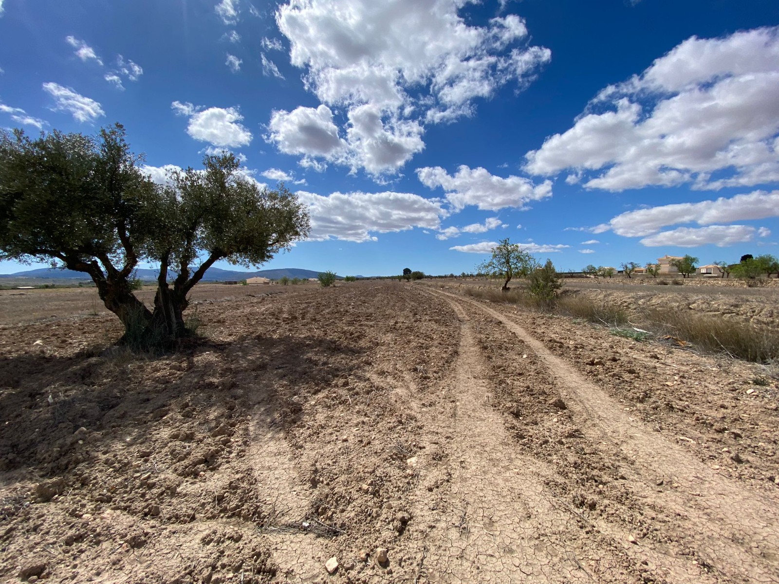 Introducing a prime plot of land spanning 12,797 square metres, complete with connected irrigation w - Image 1