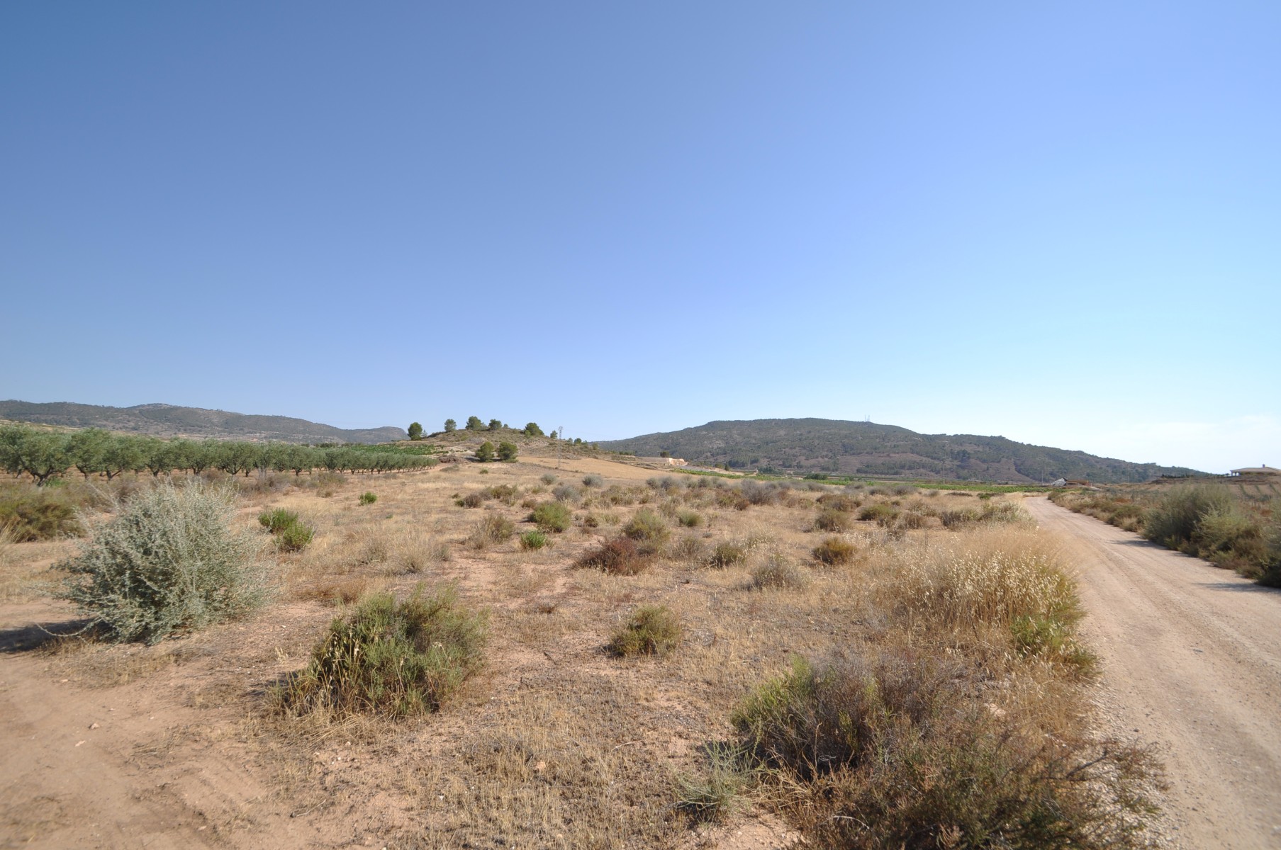 A plot of land situated in a quiet location but only a short distance to the town of Pinoso - Image 1