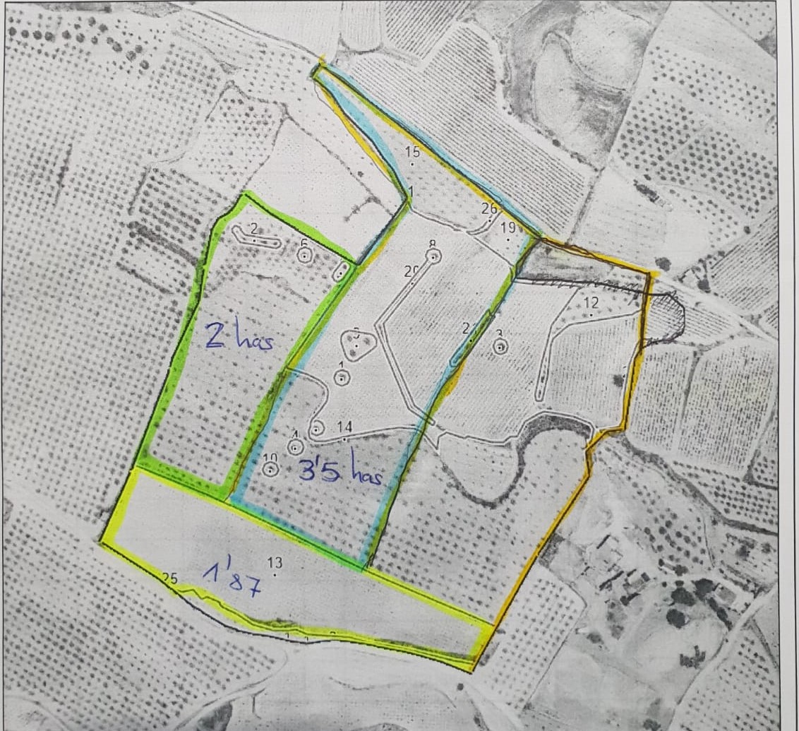 Large legal building plot located a short distance from the town of Pinoso which offers all your day - Image 1