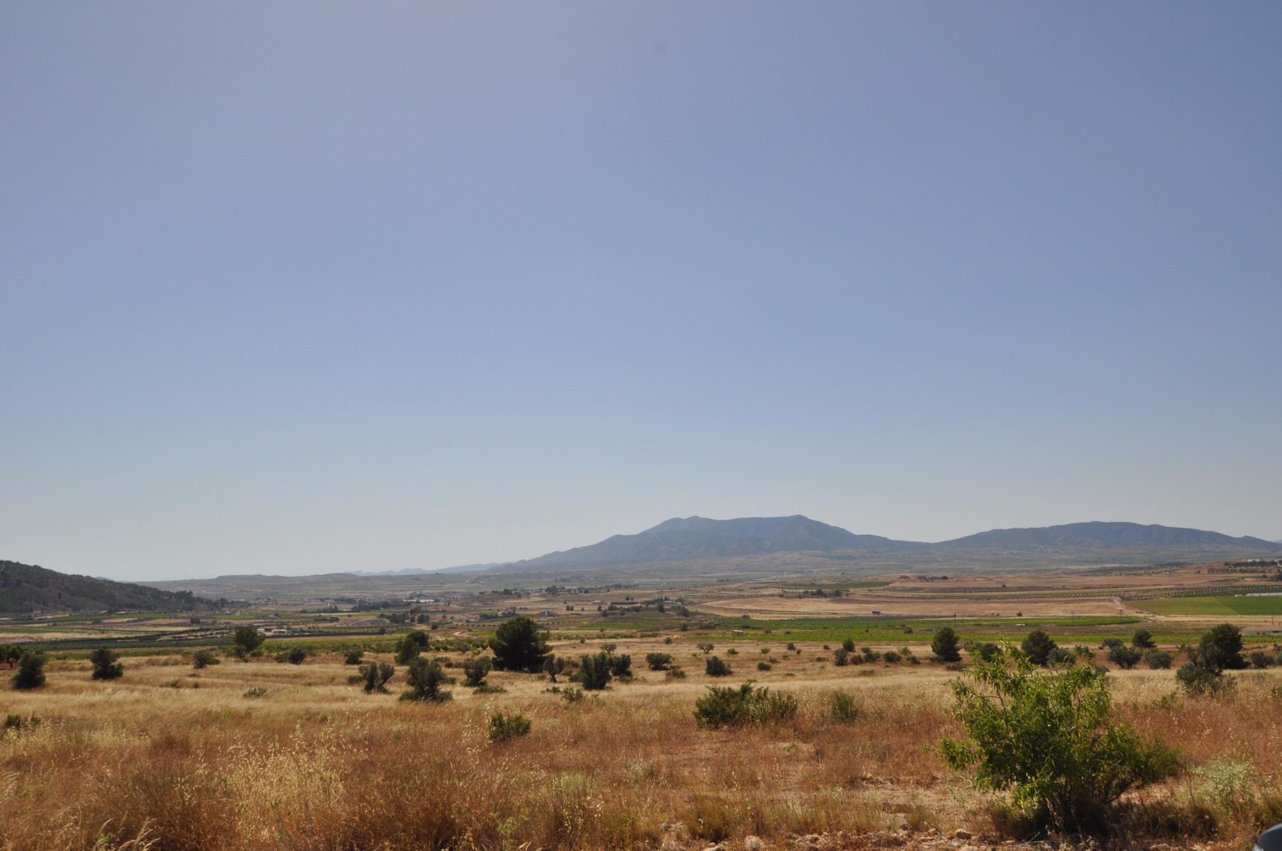 Fabulous plot with great views located only a short distance from the town of Pinoso - Image 1