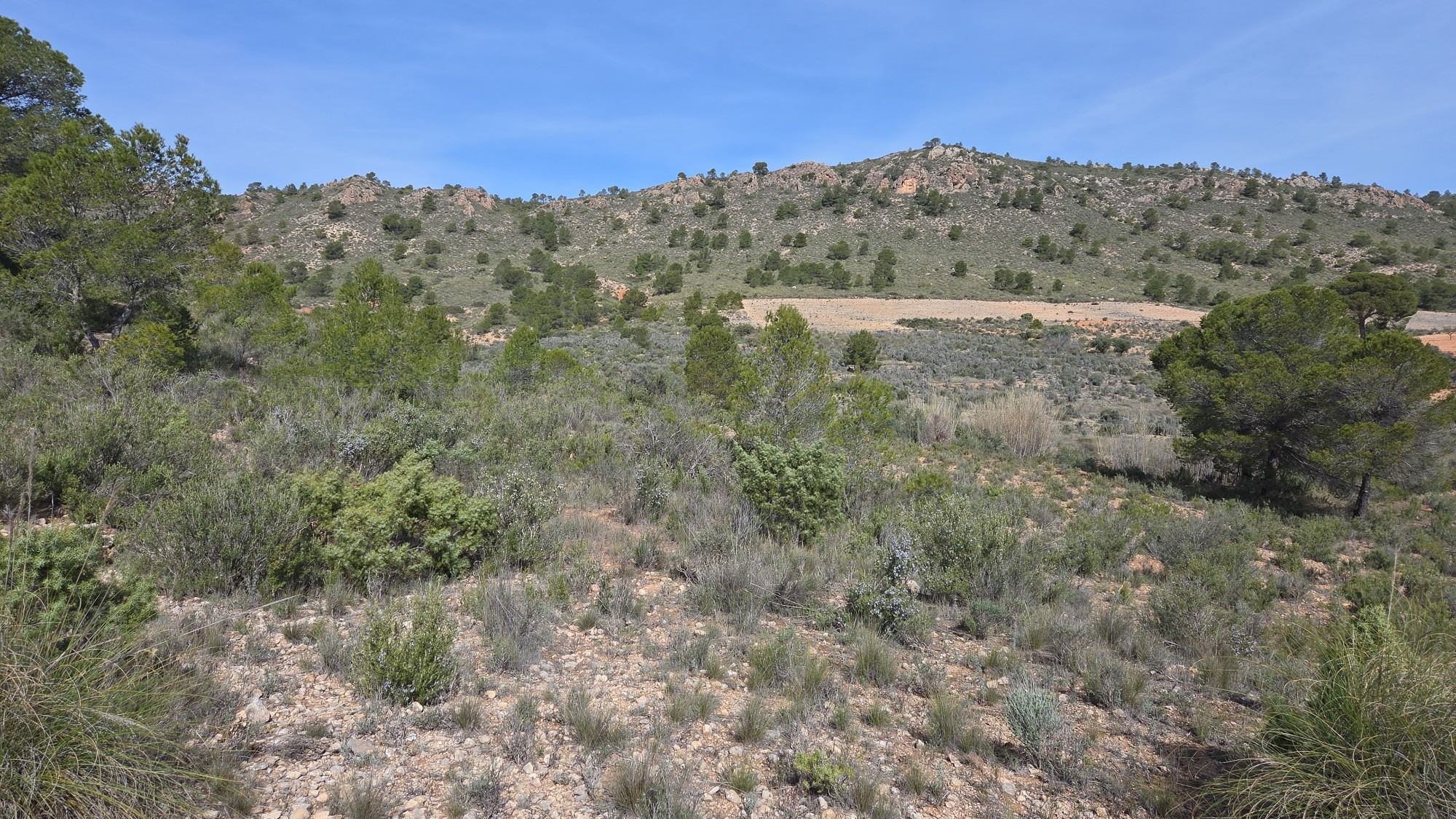 Building plot of over 27,000 m² in the mountains in Yecla - Image 1