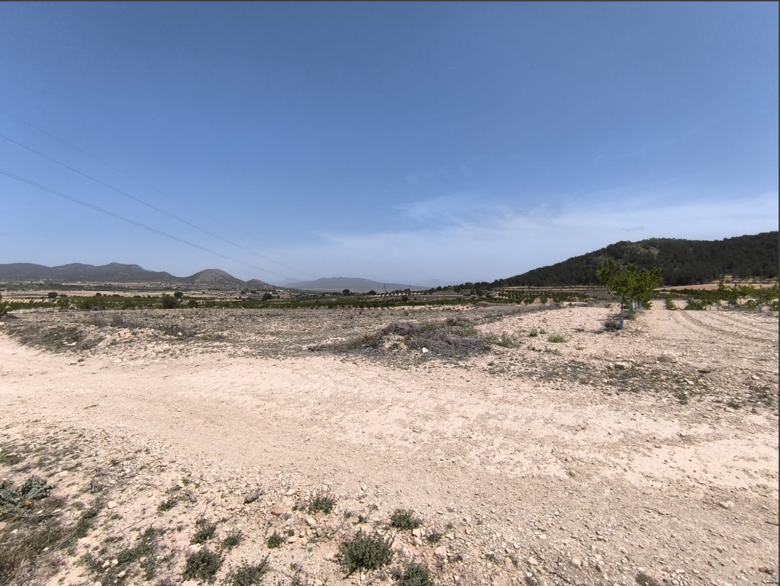We offer this ecological almond orchard and potential building parcel located between Pinoso and Mon - Image 1