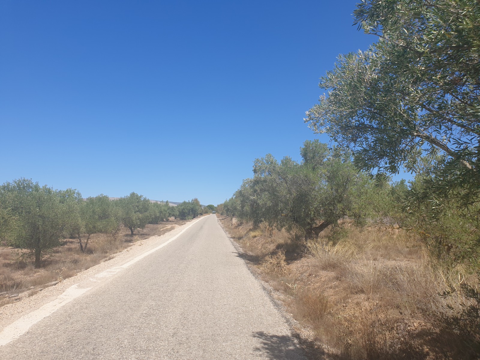 Great plot located on the outskirts of Biar with good access - Image 1