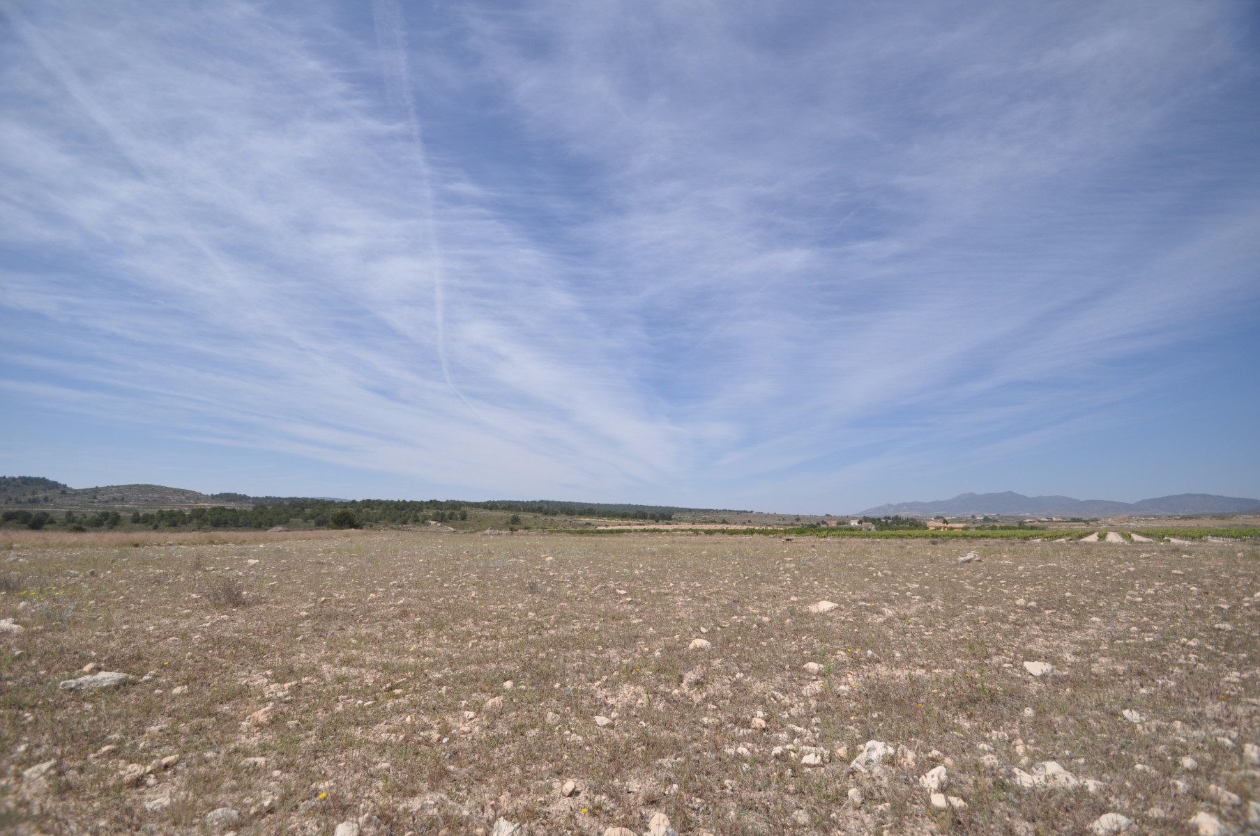 Building plot in a very good position just ahead of Ubeda, at 8 km from Pinoso - Image 1