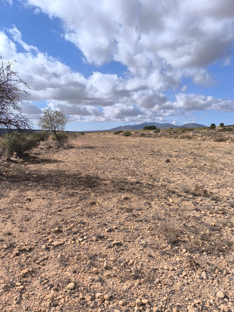 Nestled in the charming hamlet of Úbeda, just a 10-minute drive from the vibrant town of Pinoso, thi - Image 1